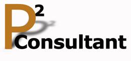 P2-Consultant_2